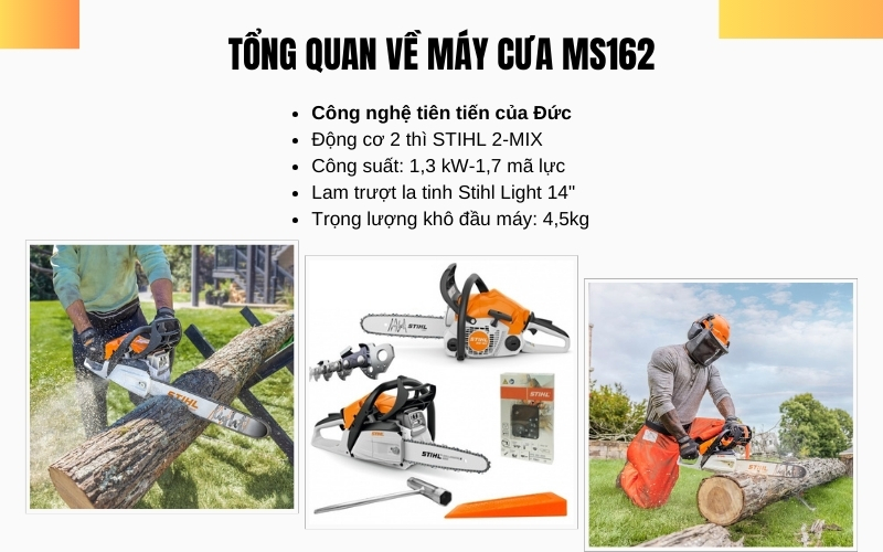 Tổng quan về máy cưa MS162