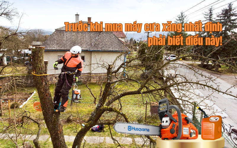 Trước khi mua máy cưa xăng nhất định phải biết điều này!