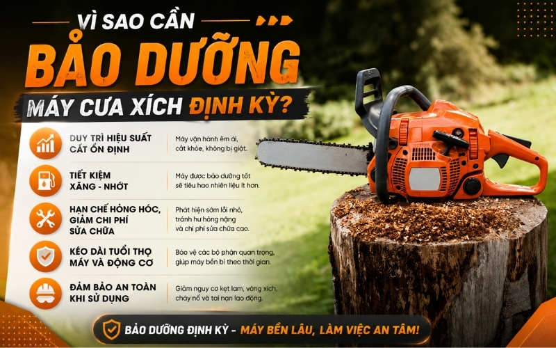 Vì sao cần bảo dưỡng máy cưa xích định kỳ