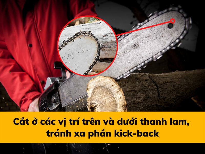 Lưu ý phần kickback của lưỡi cưa xích