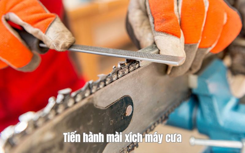 mài xích máy cưa