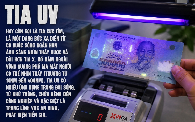 Tia UV là gì?