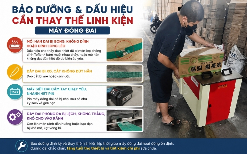 Bảo dưỡng và dấu hiệu cần thay thế linh kiện máy đóng đai