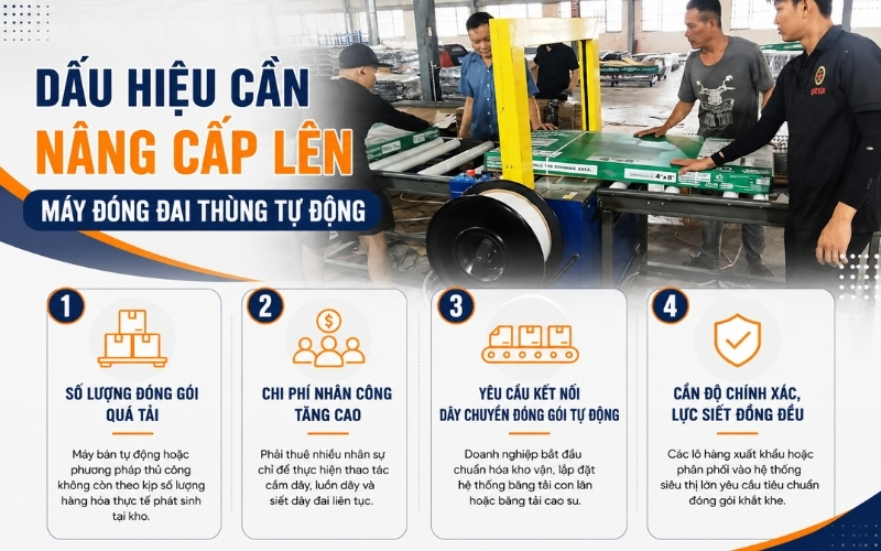 Dấu hiệu cần nâng cấp lên máy đóng đai thùng tự động