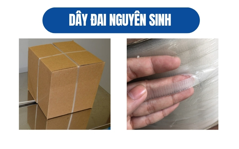 Dây đai nguyên sinh