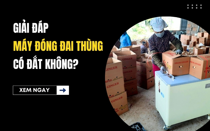 Giải đáp máy đóng đai thùng có đắt không