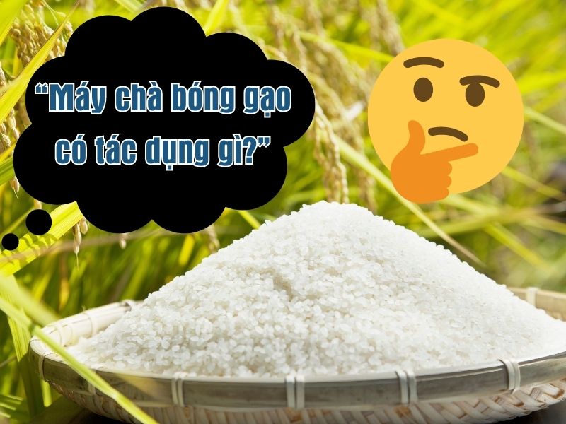 Máy chà bóng gạo có tác dụng gì?