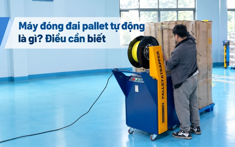 Máy đóng đai pallet tự động là gì Điều cần biết