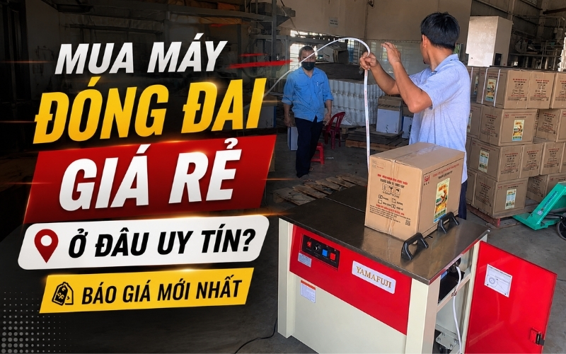 Mua máy đóng đai giá rẻ ở đâu uy tín Báo giá mới nhất
