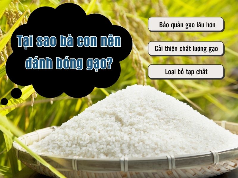 Tại sao bà con nên đánh bóng gạo