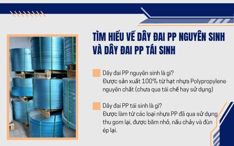 Tìm hiểu về dây đai pp nguyên sinh và dây đai pp tái sinh