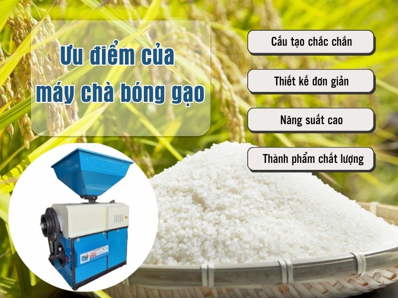 Ưu điểm của máy chà bóng gạo
