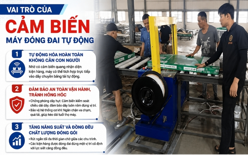 Vai trò của cảm biến máy đóng đai tự động