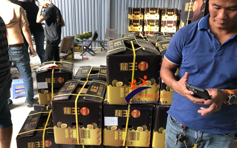 Vai trò của máy đóng siết đai thùng sầu riêng