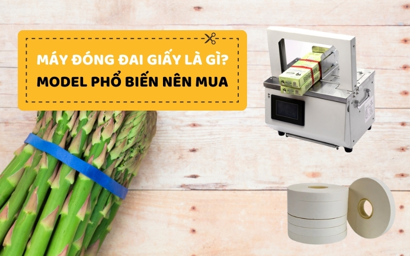 Máy đóng đai giấy là gì? Model phổ biến nên mua
