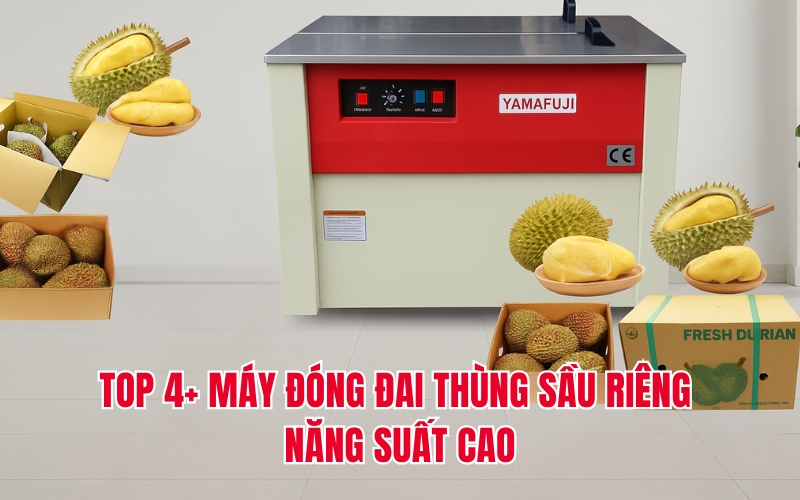 TOP 4+ máy đóng đai thùng sầu riêng năng suất cao