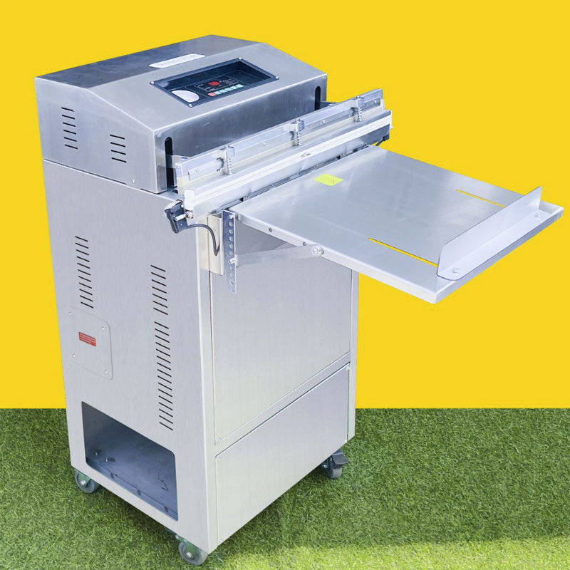  Máy hút chân không vòi ngoài Yamafuji DZ-600W 