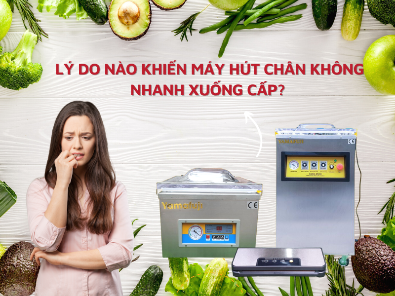 Lý Do Nào Khiến Máy Hút Chân Không Nhanh Xuống Cấp