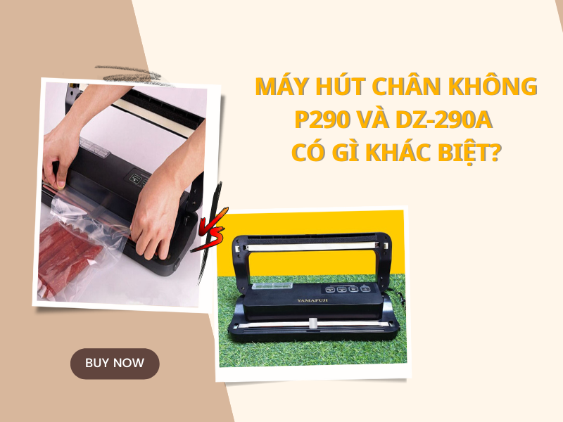 Máy Hút Chân Không P290 Và Dz-290a Có Gì Khác Biệt