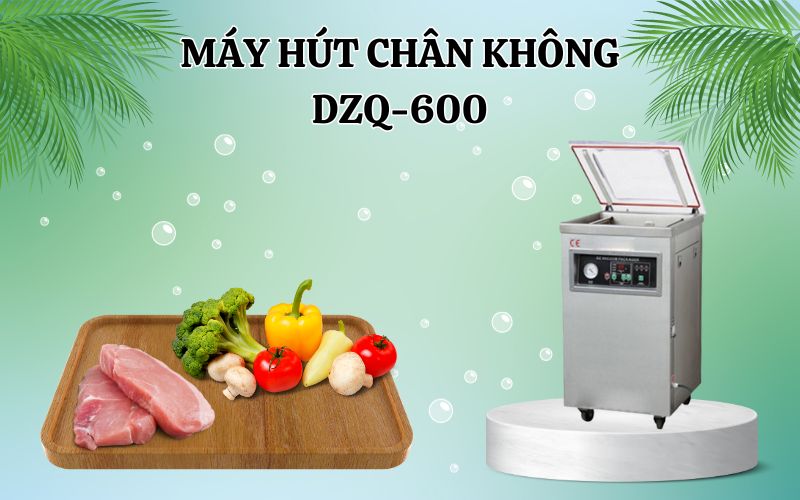 Máy hút chân không DZQ-600