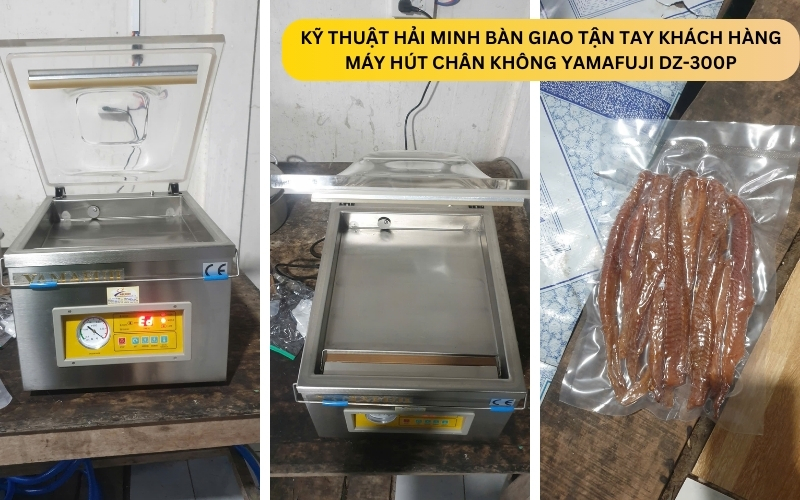 Máy hút chân không Yamafuji DZ-300PD