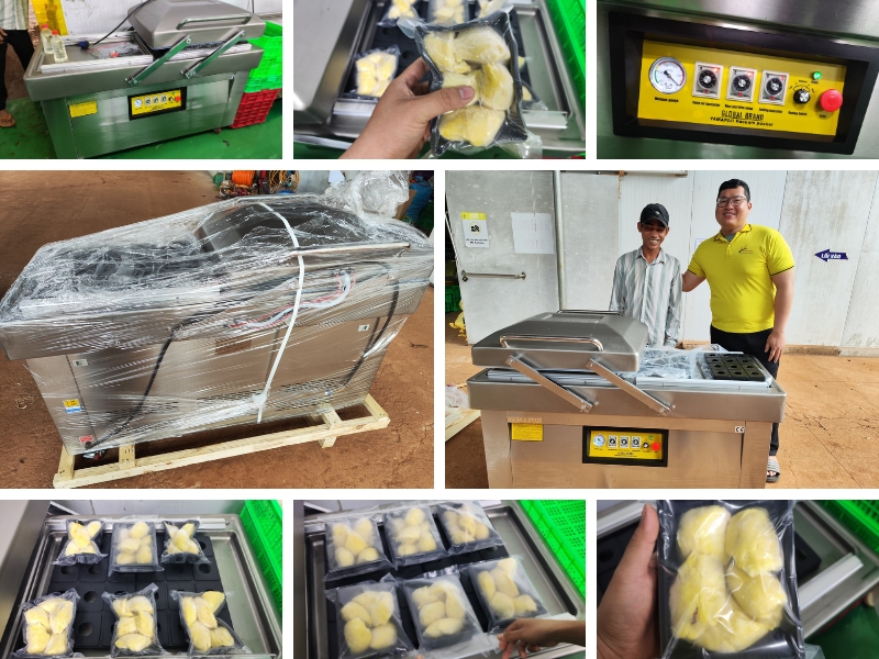 Máy hút chân không Yamafuji DZ-600/2SB (Buồng sâu 5cm)