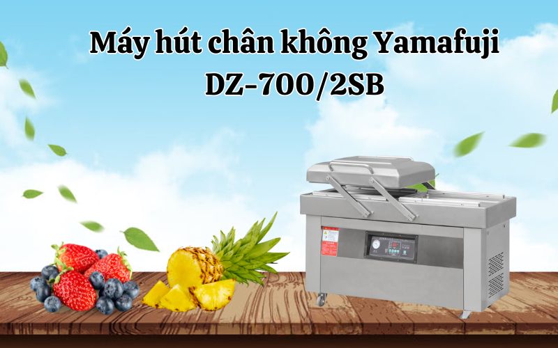 Máy hút chân không Yamafuji DZ-700-2SB chất lượng 