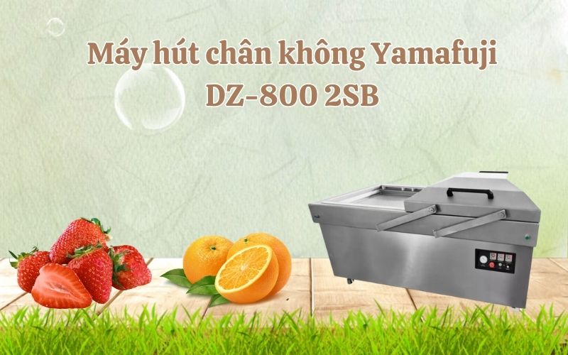 Máy hút chân không 2 buồng DZ-800-2SB
