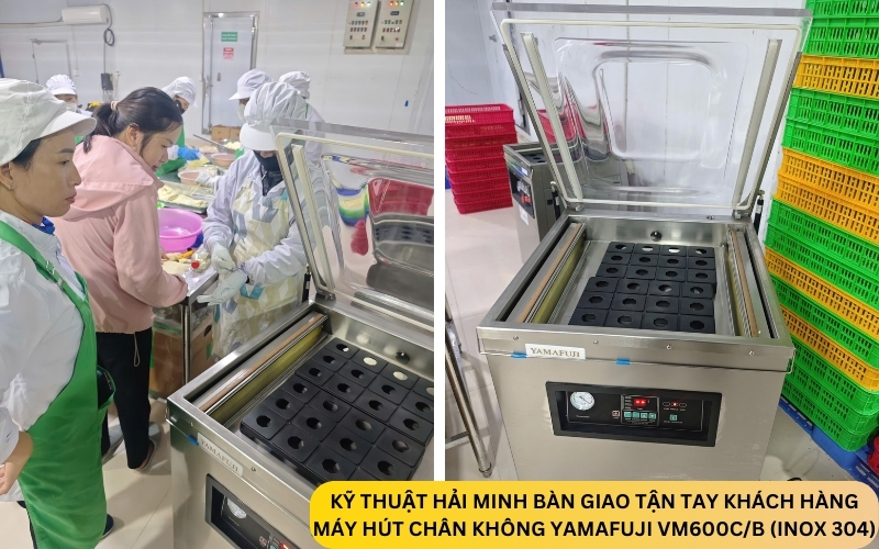 Máy hút chân không Yamafuji VM600C/B (inox 304)