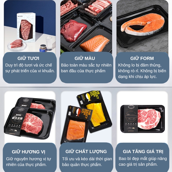 Máy hút chân không dán miệng khay Yamafuji DQ240VST