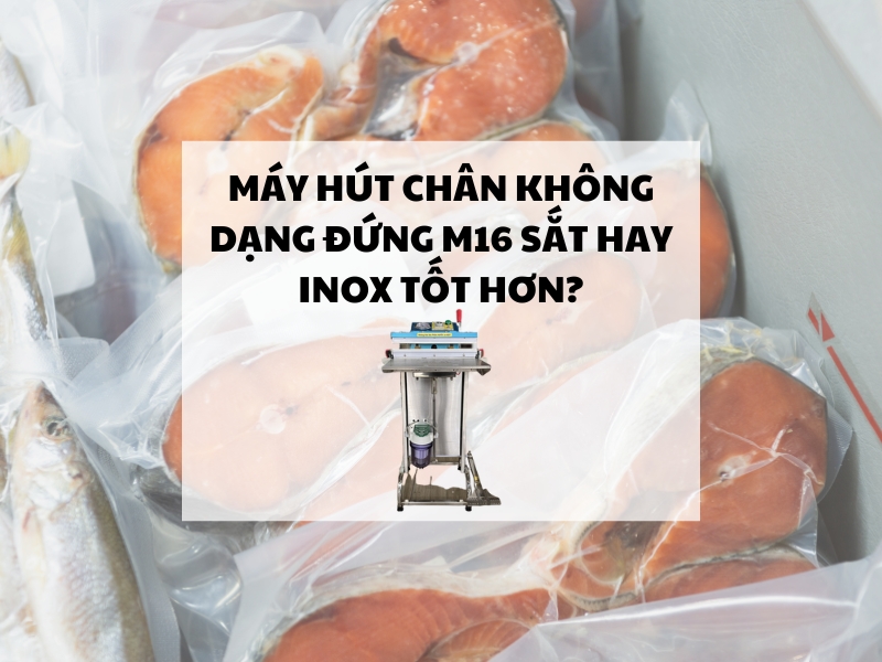Máy hút chân không dạng đứng M16 sắt hay inox tốt hơn?