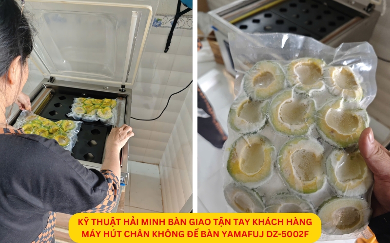 Máy hút chân không để bàn Yamafuj DZ-5002F