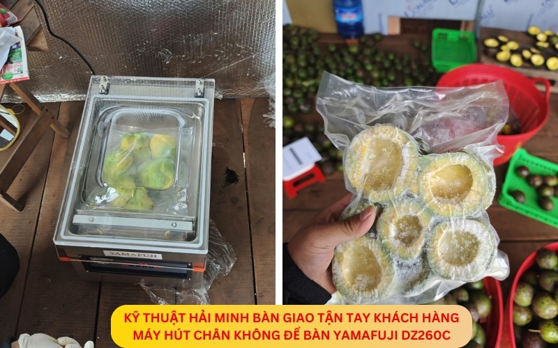 Máy hút chân không để bàn Yamafuji DZ260C