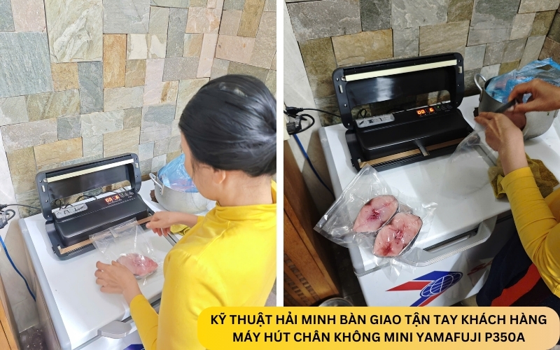 Máy hút chân không mini Yamafuji P350A