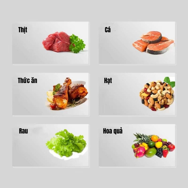 Máy hút chân không nước sốt Yamafuji VM400ES