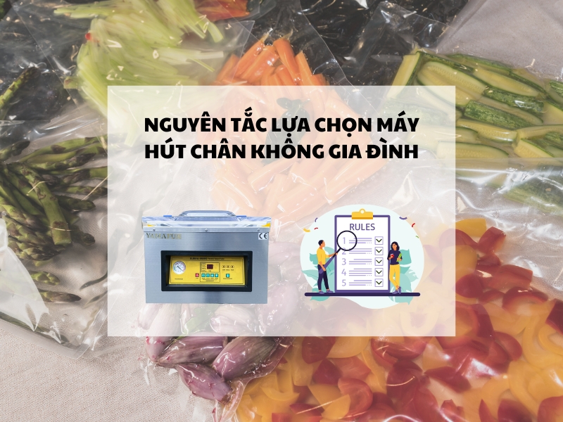 Nguyên tắc lựa chọn máy hút chân không gia đình