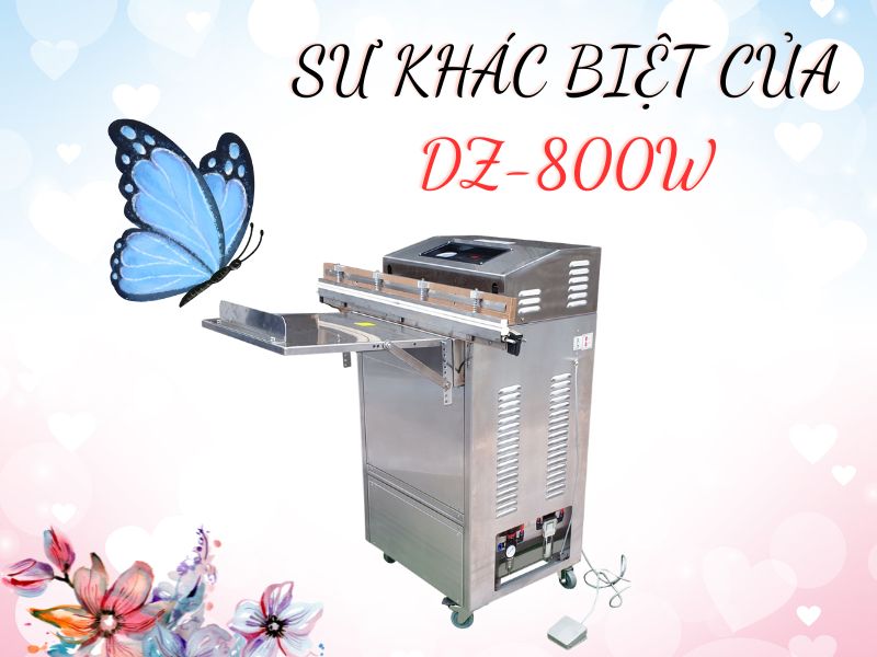 Khác Biệt Giữa Máy Hút Chân Không DZ-800W So Với Thị Trường