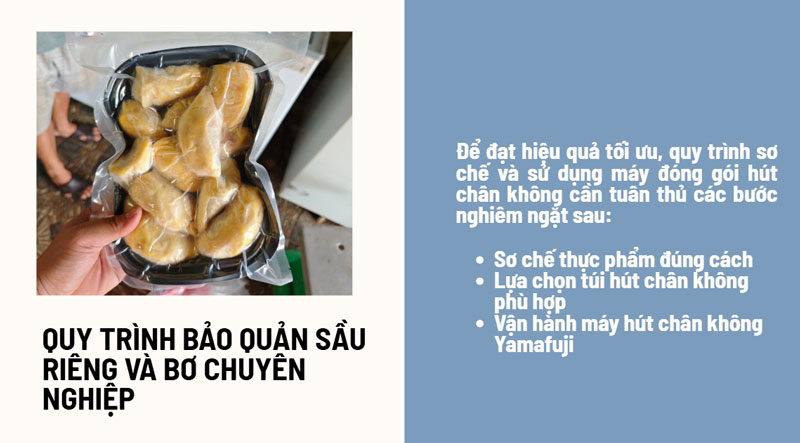 Quy trình bảo quản sầu riêng và bơ chuyên nghiệp
