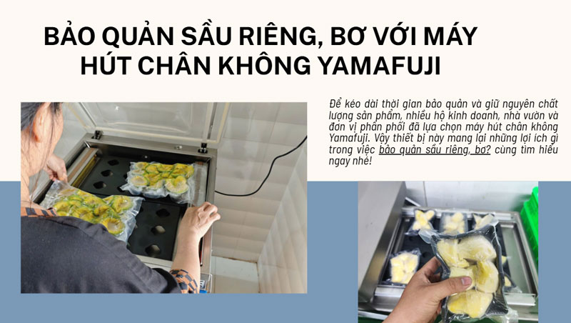 Bảo quản sầu riêng, bơ với máy hút chân không Yamafuji