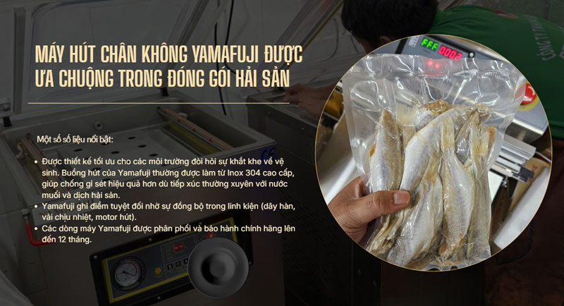 DZQ và Yamafuji - Thương hiệu nào tốt cho đóng gói hút chân không hải sản?