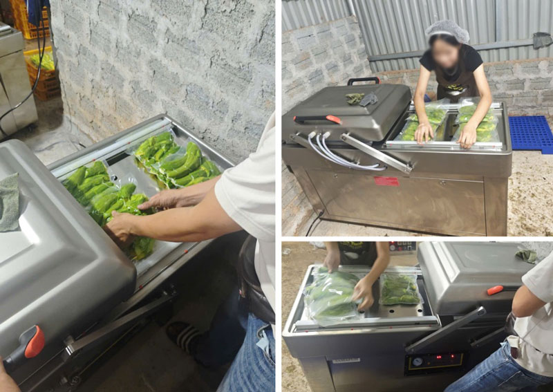Máy hút chân không công nghiệp chất lượng 