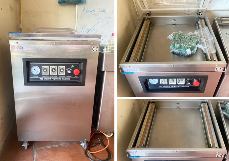 Máy hút chân không công nghiệp DZQ500 (chính hãng)
