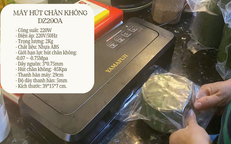 Máy hút chân không DZ290A