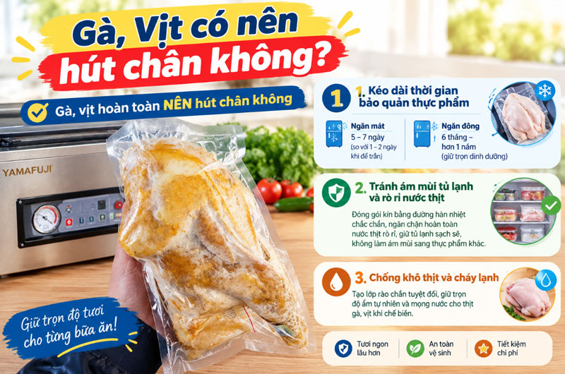Gà, Vịt có nên hút chân không không?