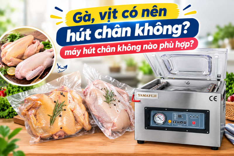 Gà, vịt có nên hút chân không? máy hút chân không nào phù hợp?