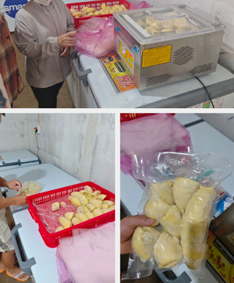 Máy hút chân không Yamafuji DZ-300PD (Phiên bản nâng cấp)