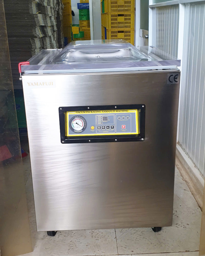 Máy hút chân không Yamafuji VM600C/B