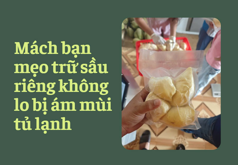 Mách bạn mẹo trữ sầu riêng không lo bị ám mùi tủ lạnh
