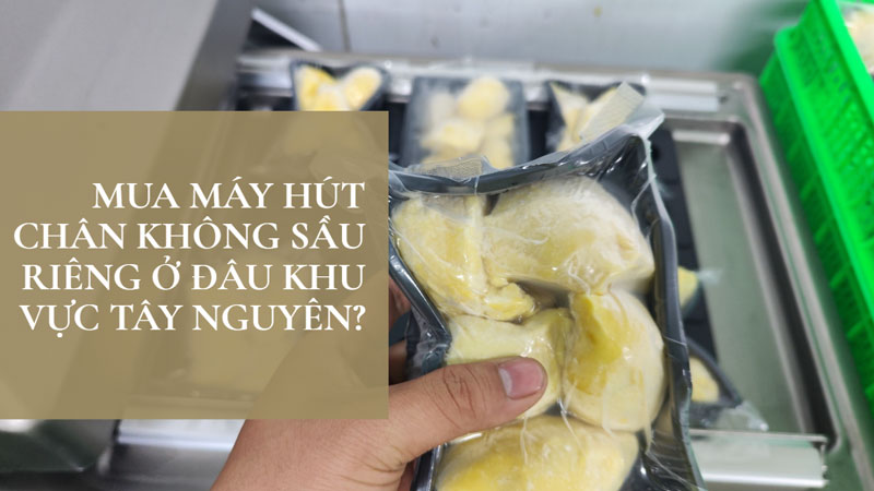 Mua máy hút chân không sầu riêng ở đâu khu vực Tây Nguyên?