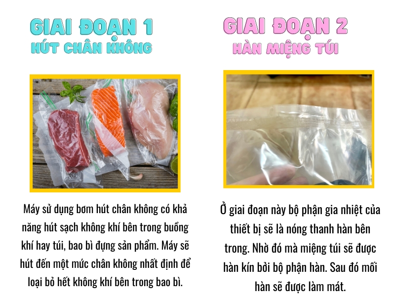 Máy hút chân không hoạt động trên nguyên lý nào? Các lưu ý khi sử dụng